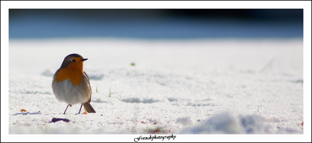 -img_4888.jpg