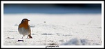 -img_4888.jpg