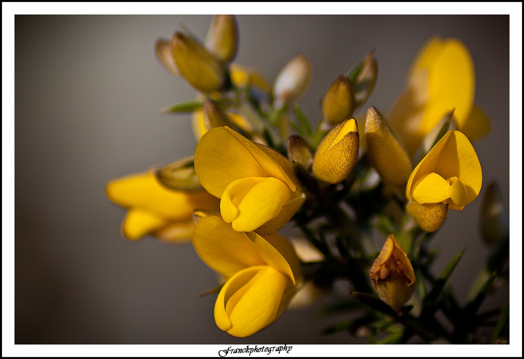 -img_4622.jpg