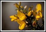 -img_4622.jpg