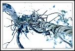 -img_5418.jpg