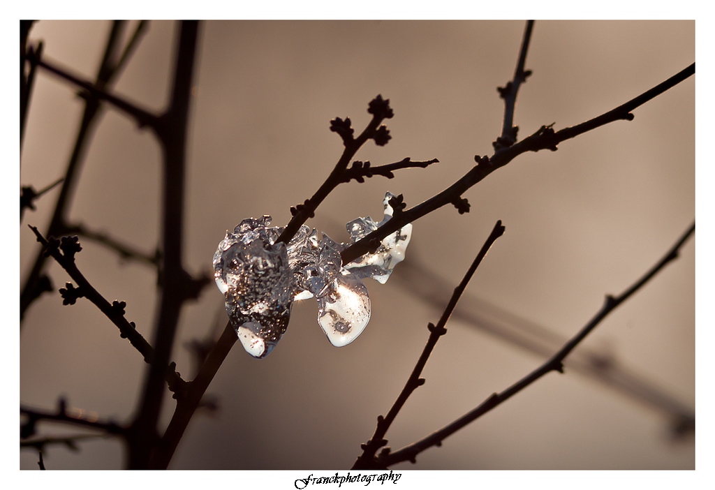 -img_4861eos.jpg