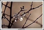 -img_4861eos.jpg