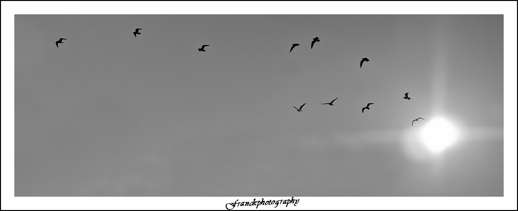 -img_5217-modifier.jpg