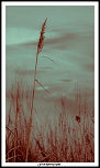 -img_5297-modifier.jpg