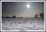 -img_4784.jpg
