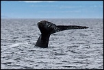 Photos du Canada