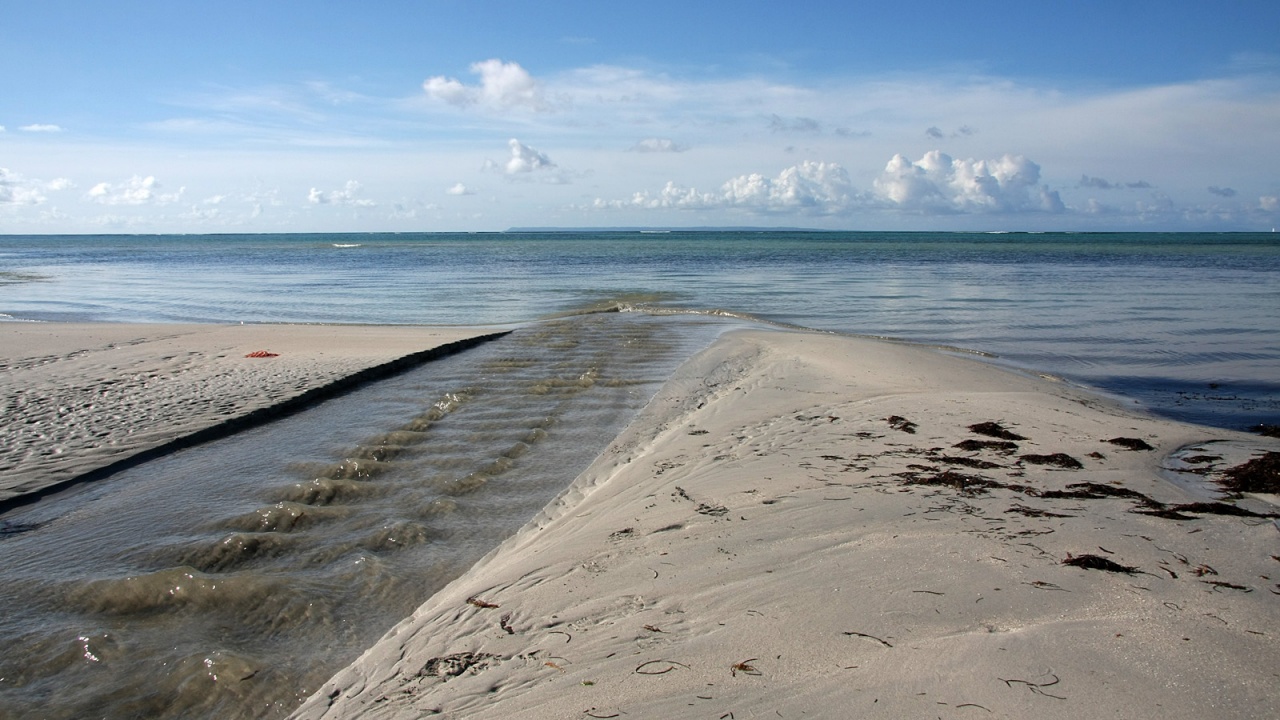 -c4h25952.jpg