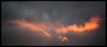 IMG 0274