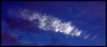 IMG 0019