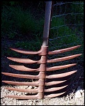 -img_0886.jpg