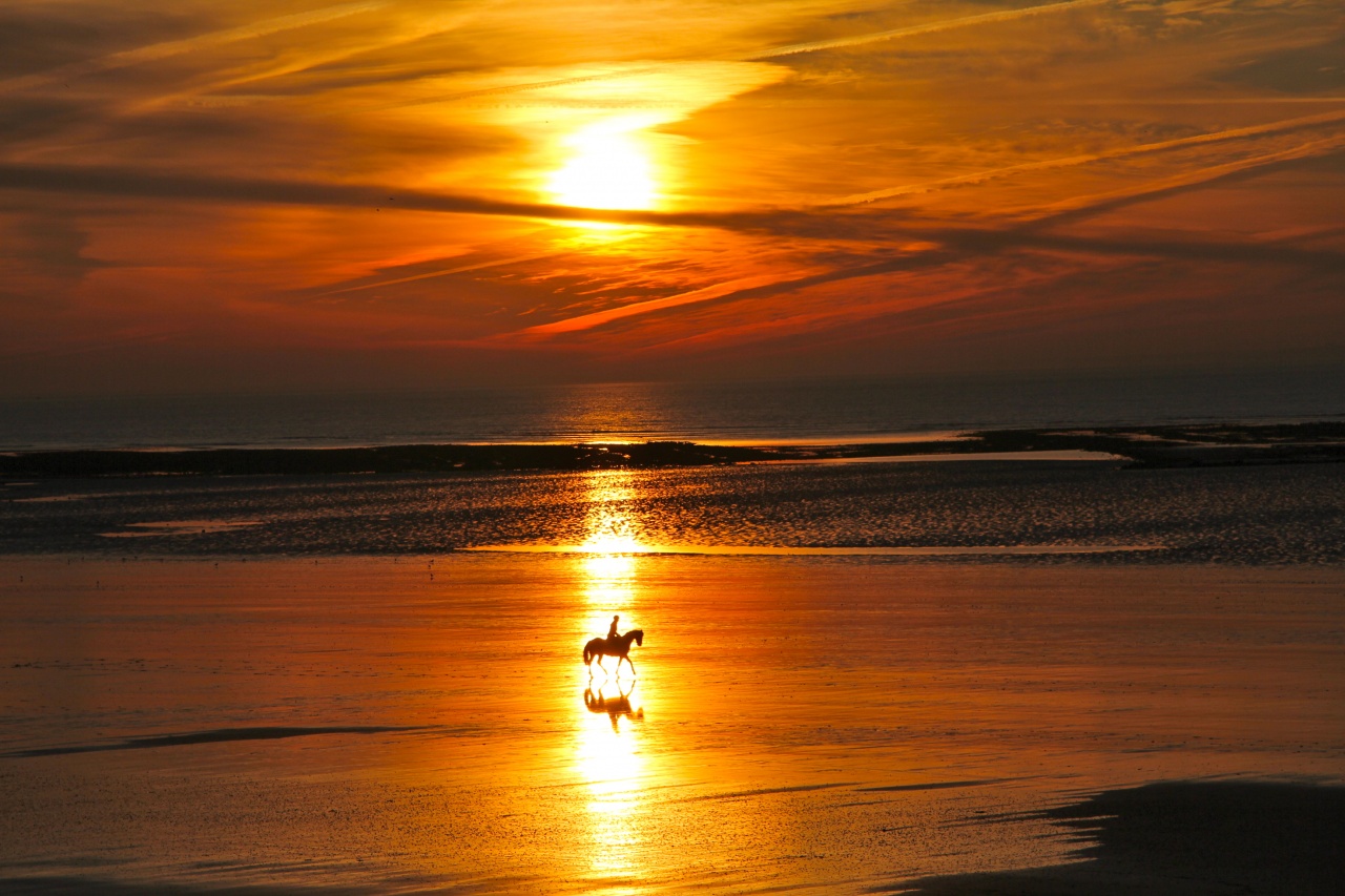 -img_7837.jpg