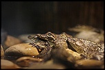 IMG 9427