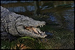 IMG 9446