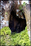 IMG 2512