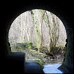 IMG 2517