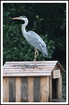 IMG 8866