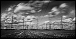 MG 7948 Edit