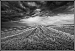 MG 6046 Edit