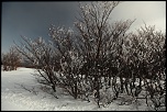 dpart de piste de la Bronner massif du Schnepfenried