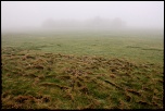 -img_6706ex.jpg