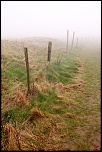 -img_6695ex.jpg