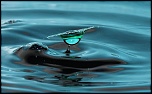 70-300 IS DO-eclat-6.jpg