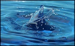 70-300 IS DO-goutte-0502-054bis.jpg
