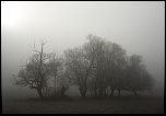 Metz 44 AF - 4C et 300 D-3174.jpg