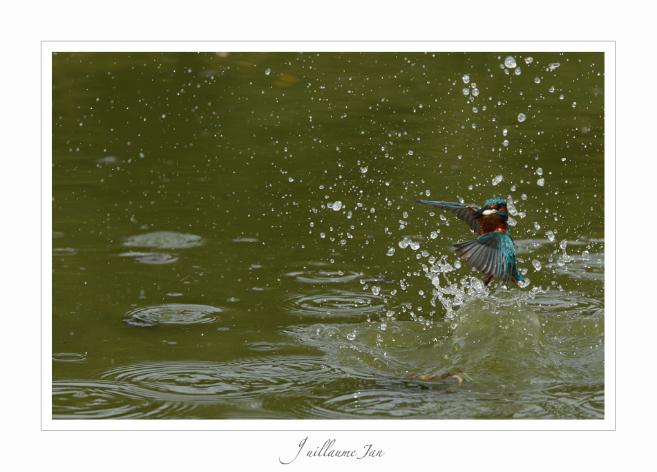 Speedlite-3176.jpg