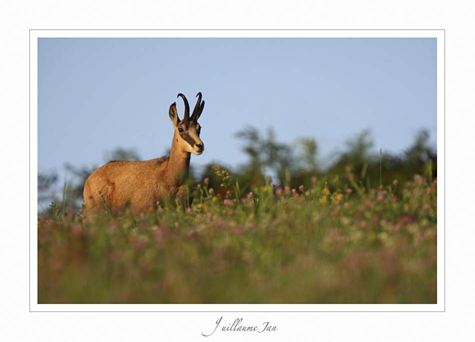 Speedlite-3177.jpg