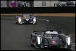 Nouveau-copie-de-img_4425.jpg