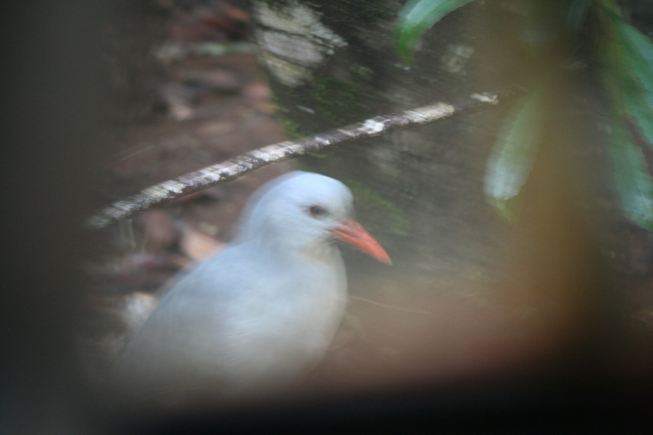 CAPTURE ONE PRO-img_4486.jpg