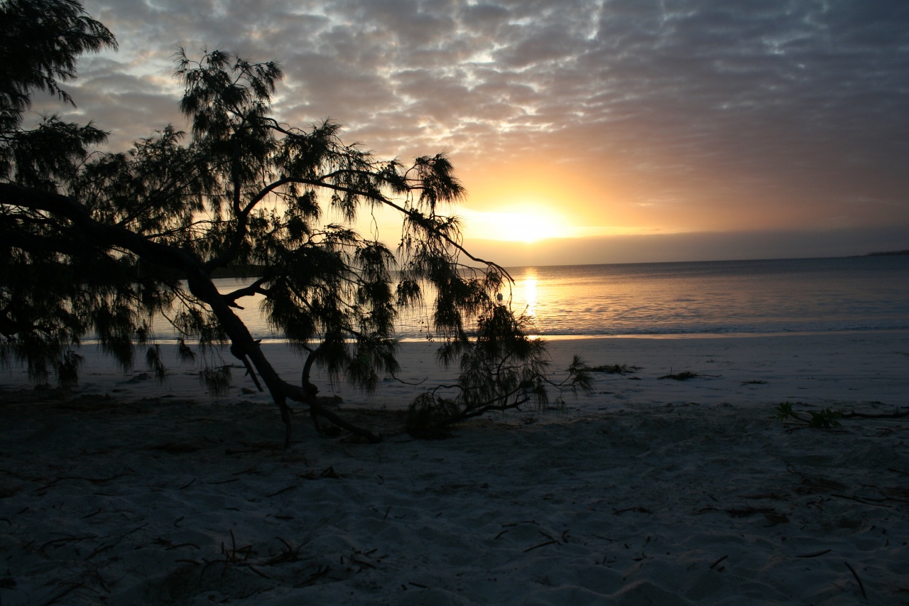 CAPTURE ONE PRO-img_5117.jpg