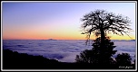 -img_0353.1-album-.jpg