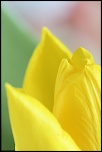 -img_0027.jpg