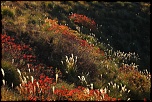 Nouveau-img_3925_resize-01.jpg