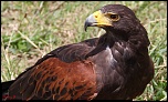 Concours Photo-photo-0092-b.jpg