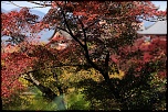 Nouveau-img_2207-01_resize.jpg