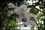 Nouveau-img_5944.jpg