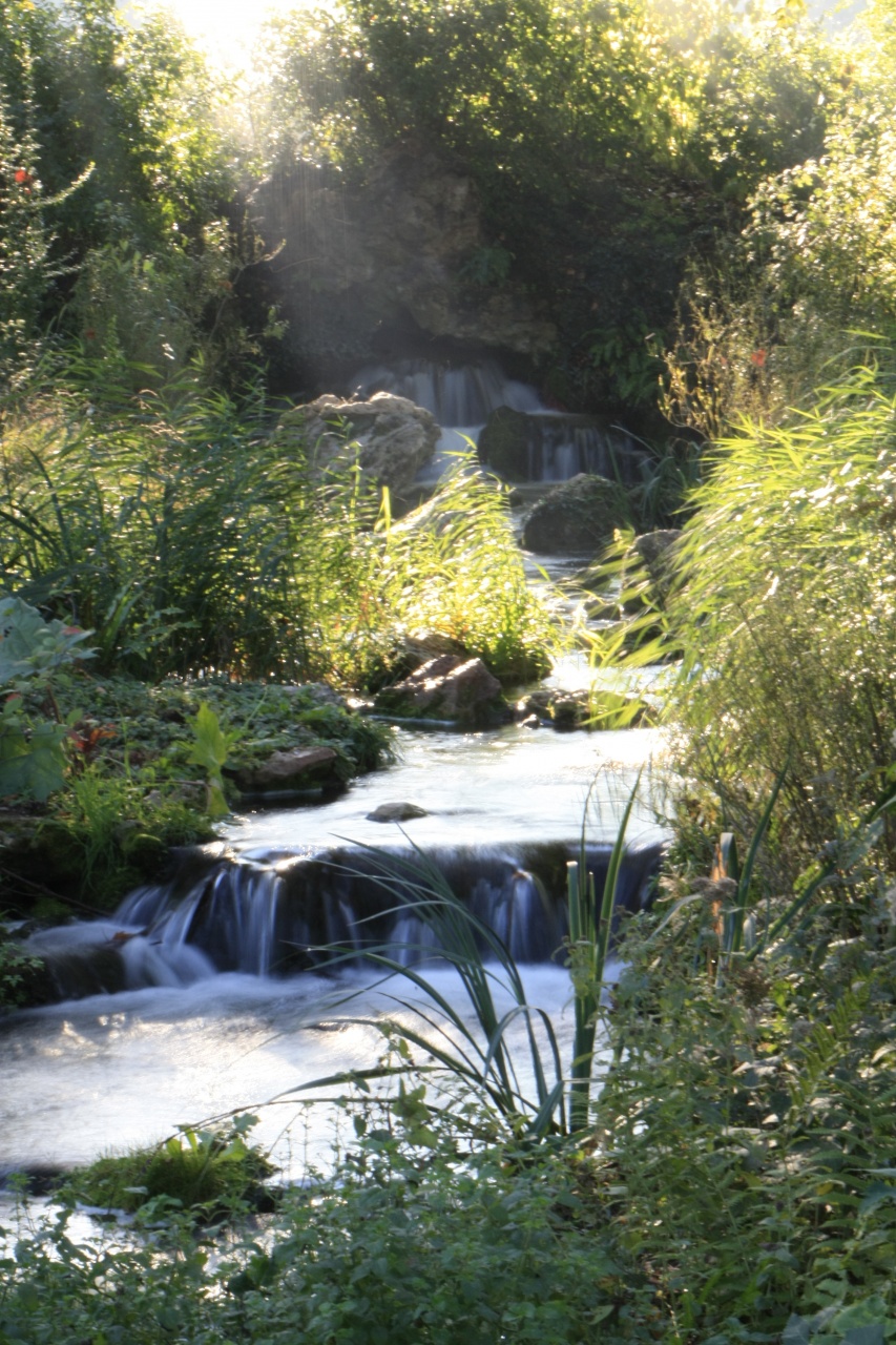 Concours Photo-ruisseau-daumesnil.jpg