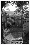 Concours Photo-village.jpg