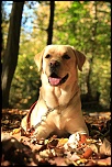 Concours Photo-eliot2.jpg