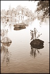 Concours Photo-daumesnil-sepia.jpg