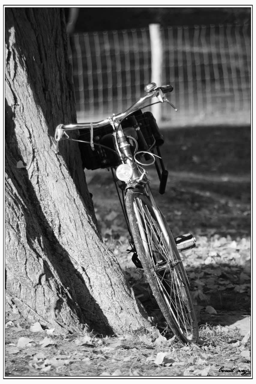 Concours Photo-velo-nb.jpg