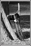 Concours Photo-velo-nb.jpg