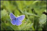 Sigma 70-200 2,8 ex HSM-_mg_1258.jpg