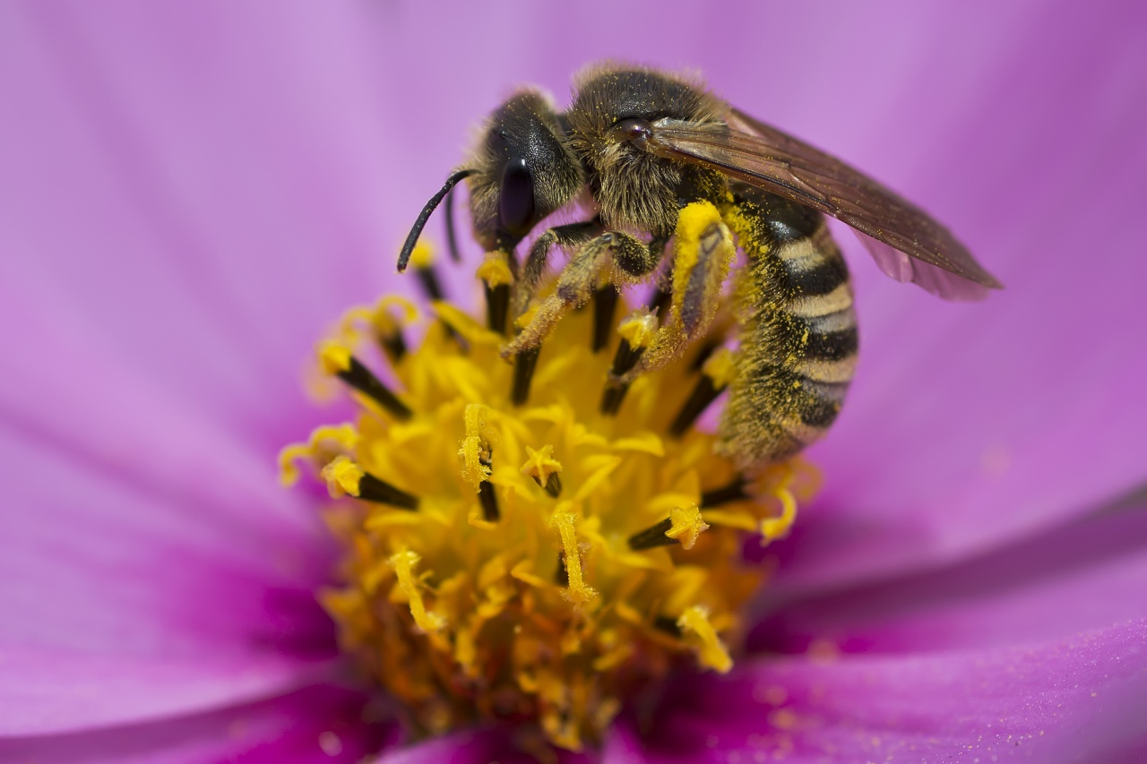 Sigma 70-200 2,8 ex HSM-_mg_2799.jpg