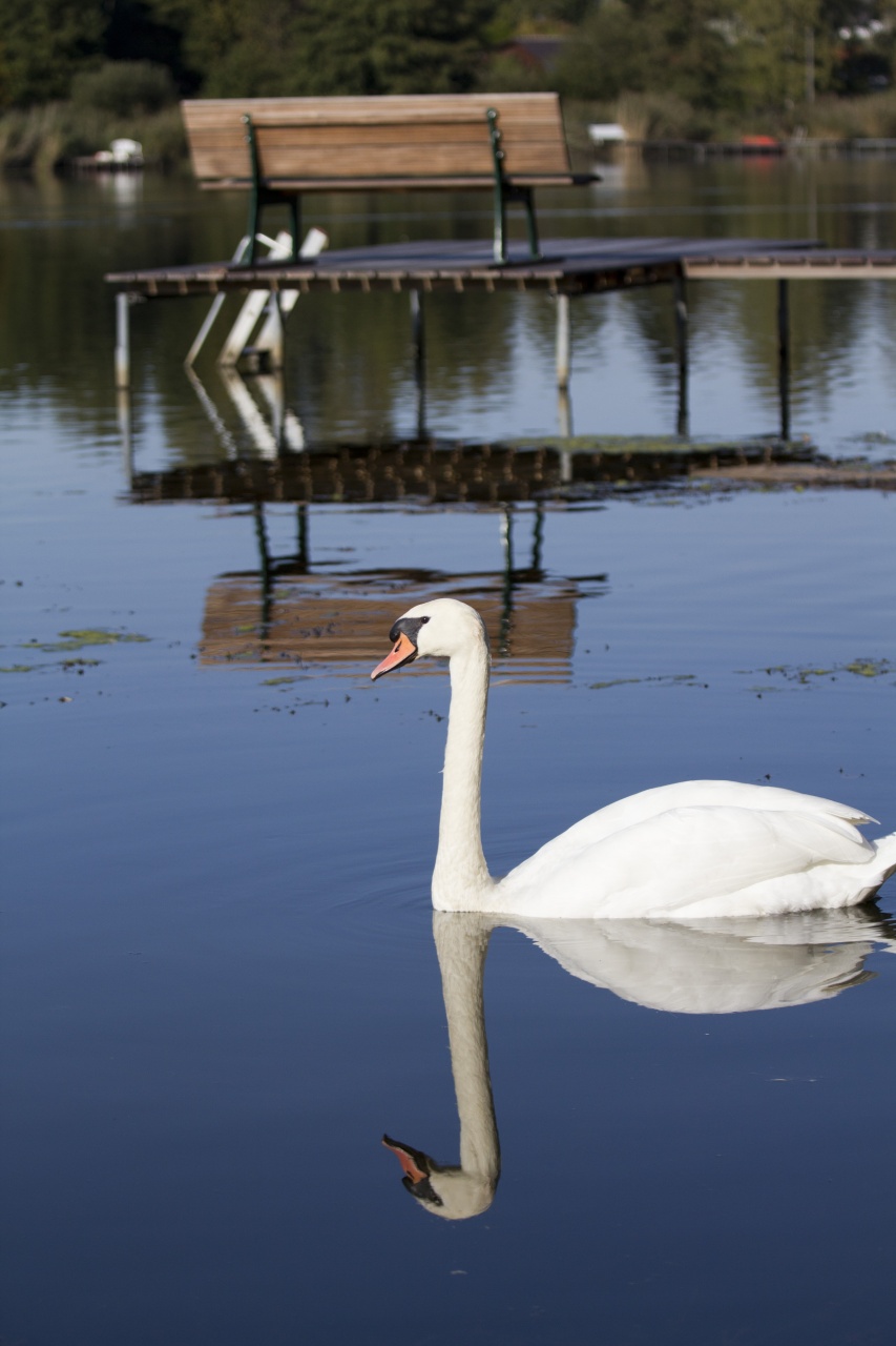 Sigma 70-200 2,8 ex HSM-_mg_6802.jpg