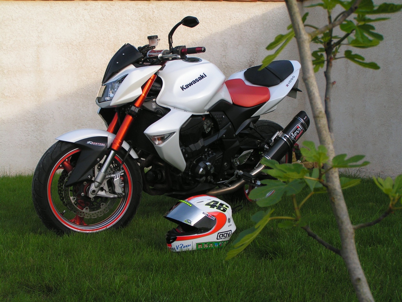 -pict0121.jpg